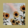 irvinac05